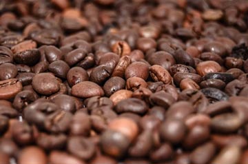 Exportações brasileiras de café recuam 13,5% em abril, diz Cecafé