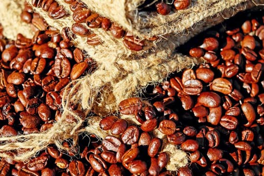 Cecafé vê recuperação da exportação do Brasil, mas aponta estabilidade em 2017