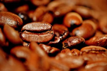 Santos exporta 87% do café brasileiro no primeiro semestre