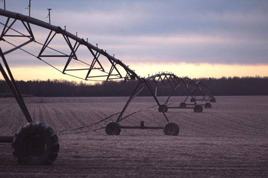 PIB Agropecuário terá crescimento de 10,9% este ano