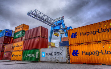 Após seis dias, termina embarque de gado no Porto de Santos