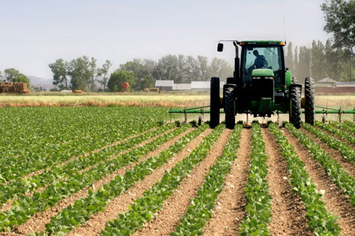Aumento de impostos para a indústria agroquímica preocupa setor agrícola