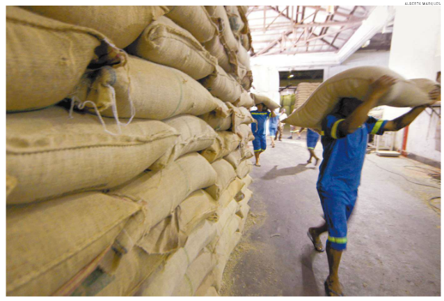 Exportações de café por Santos caem para 85% no 1º bimestre