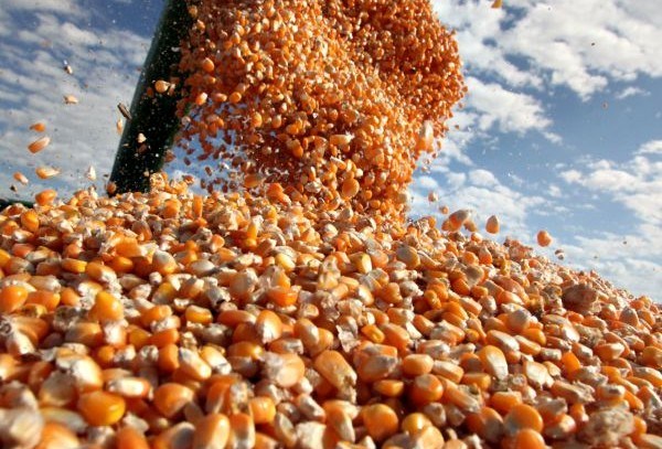 Exportações de milho pelo Porto de Santos atingem 69,433 mil/t em Março