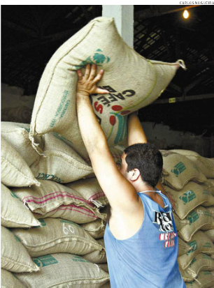 Embarques de café caem 8% no trismestre