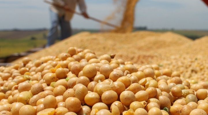 Tarifa da China sobre soja do EUA muda fluxos comerciais e impacta Brasil