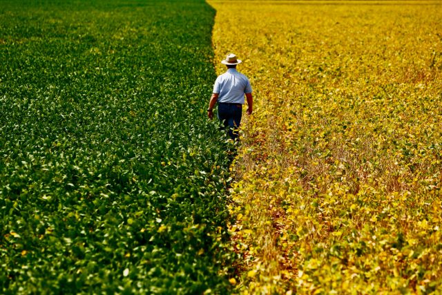 Protesto dos caminhoneiros gera prejuízos ao agronegócio