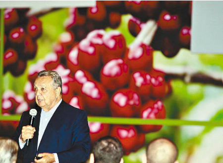 Produção de café acelera expansão