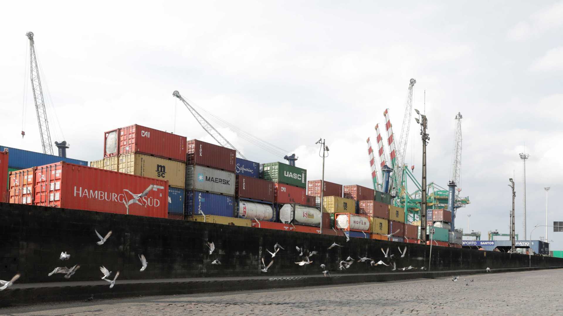 Mercadorias ficam retidas no Porto de Santos por falta de caminhão