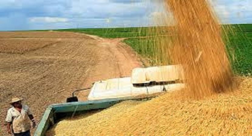Governo libera R$ 194 milhões para Plano Agrícola 2018