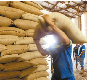 Exportação de café registra queda
