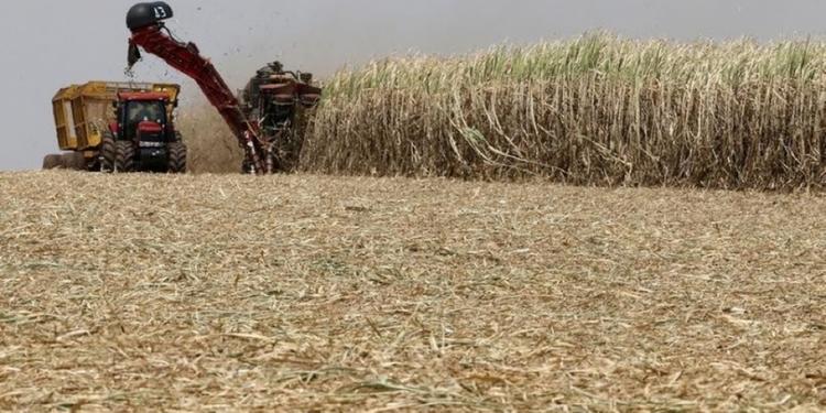 China colocará tarifas extras sobre mais importações de açúcar a partir de agosto