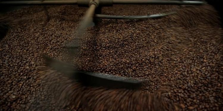 Comercialização da safra de café 2018/19 do Brasil chega a 31% até 10/7, diz Safras