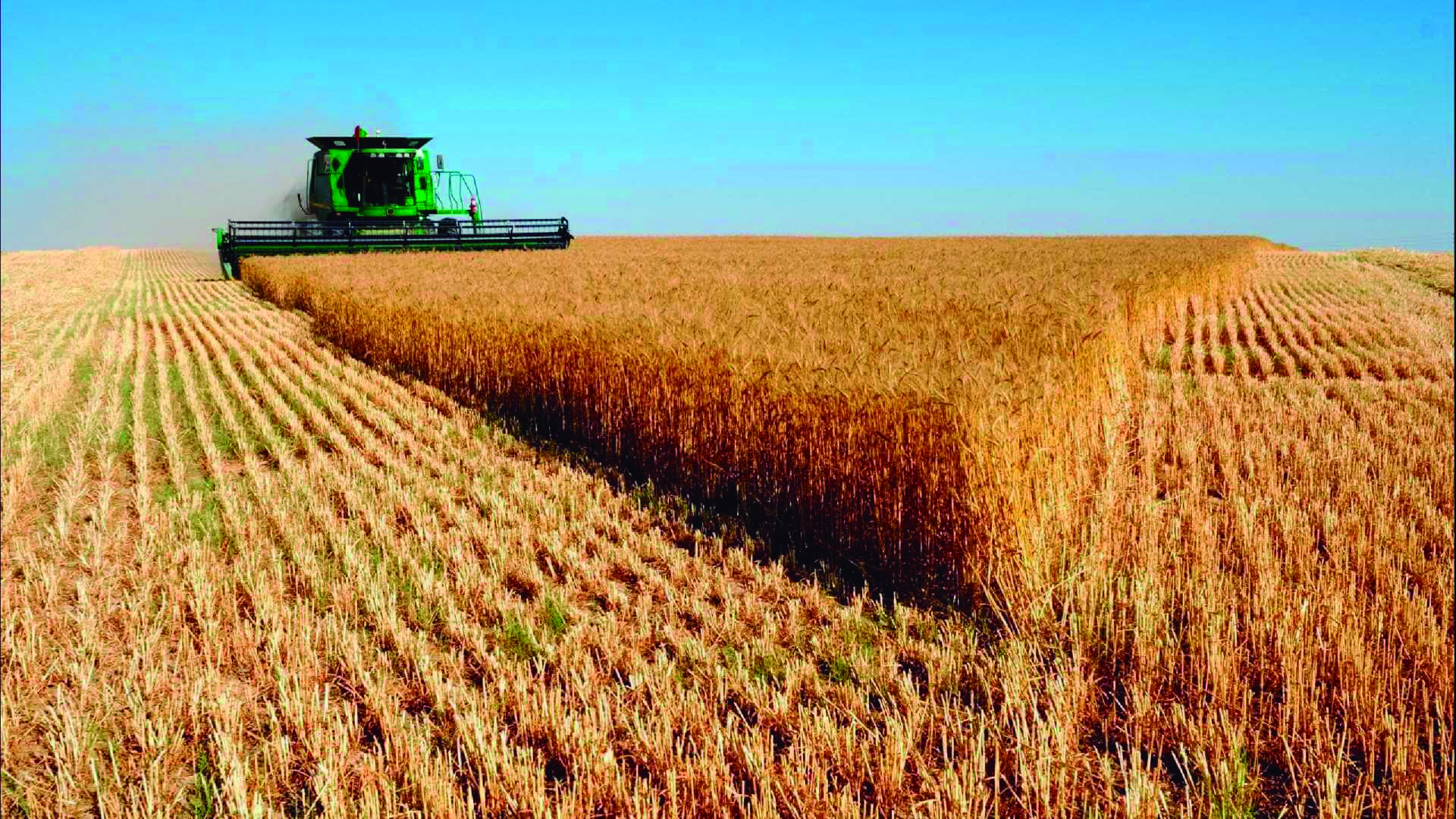 MAPA estuda lançar selo para identificar produtos agrícolas