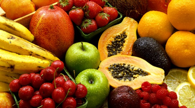 Consulta pública revisa lista de espécies vegetais no Brasil