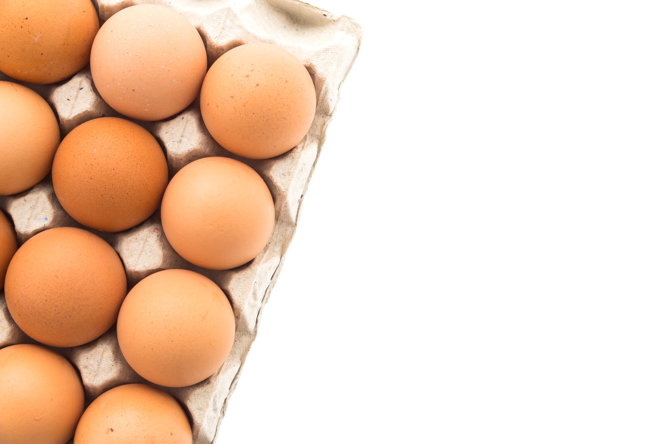 Brasil amplia embarque de ovos