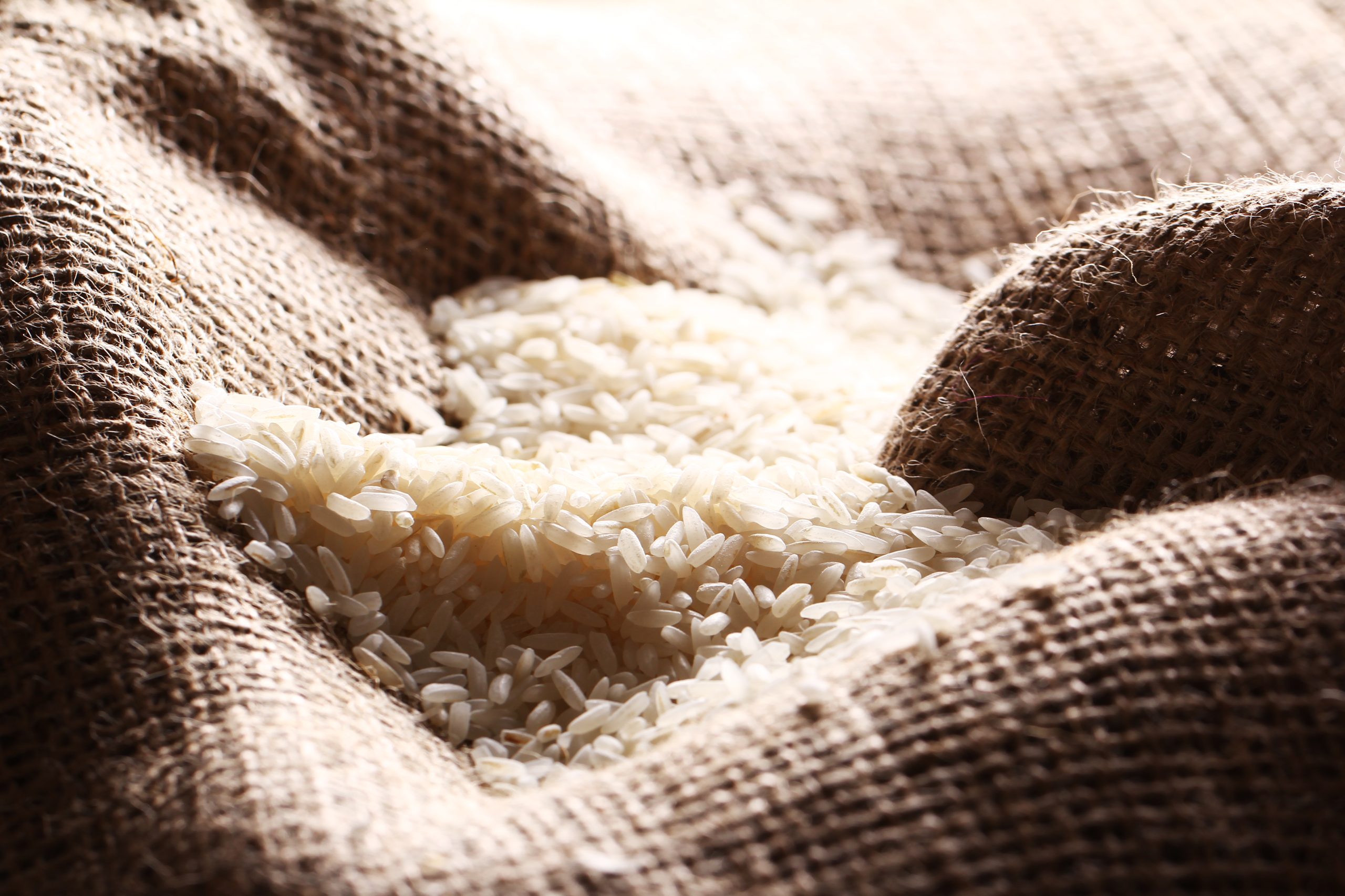 Importações de arroz são as maiores em 21 anos