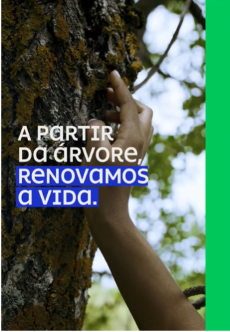 Suzano celebra o Dia da Árvore reforçando suas iniciativas sustentáveis