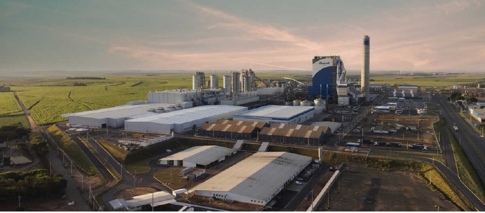 Bracell expande operações com investimento bilionário em MS