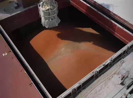 Porto do Itaqui realiza embarque inédito de sorgo com destino à Espanha