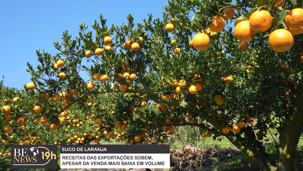 Cai exportação de suco de laranja 