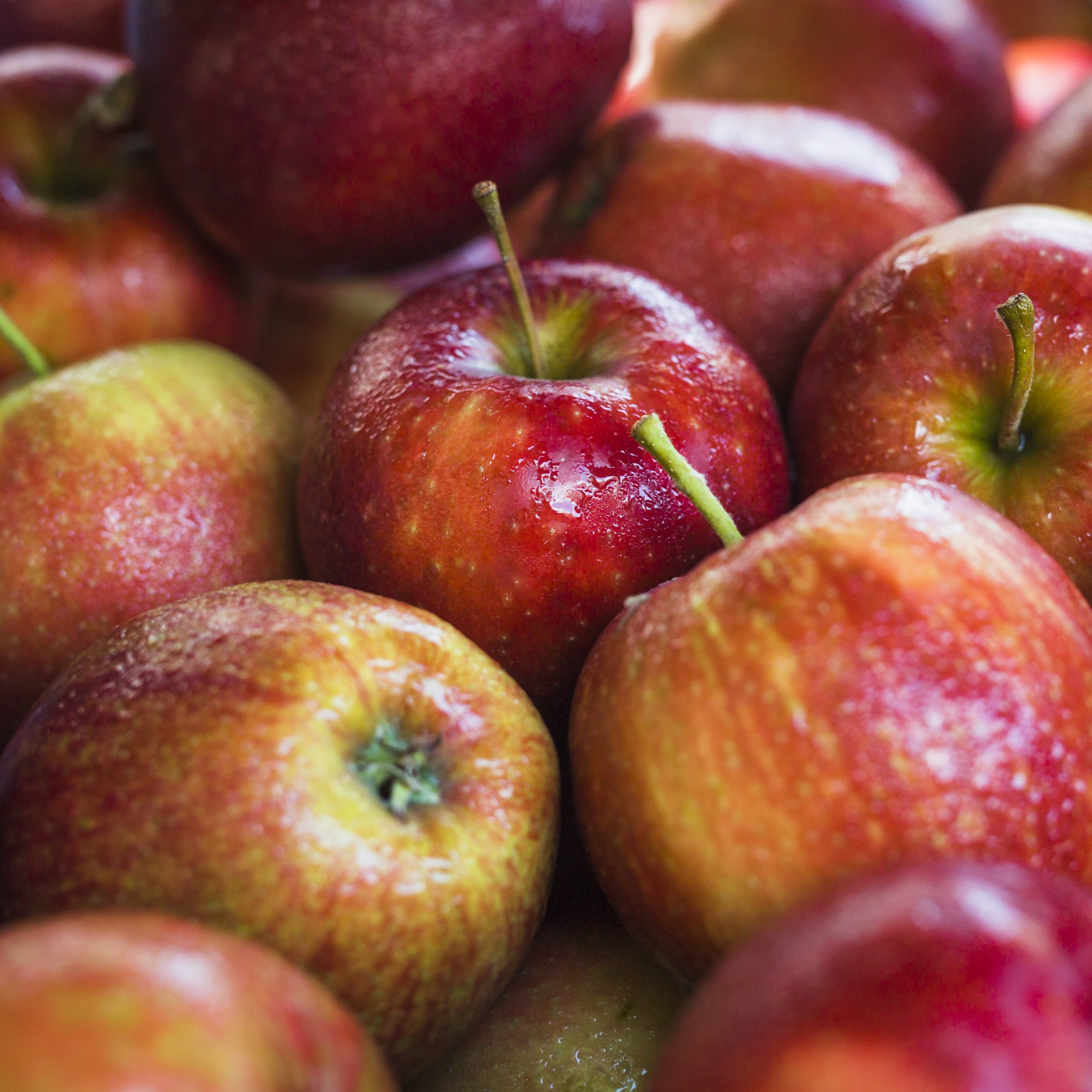 Peru abre mercado para exportação de maçãs brasileiras