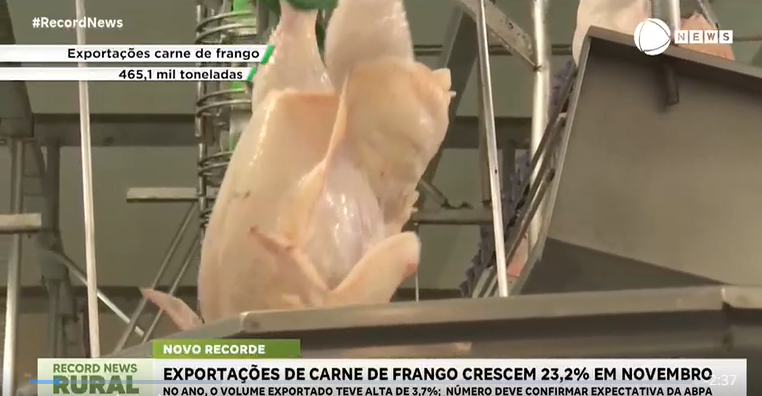 Exportações de carne de frango crescem 23,2% em novembro
