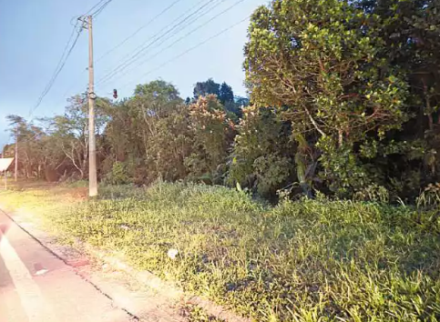 Plano de expansão inclui área em SV